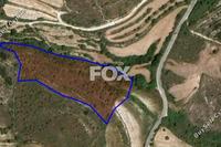 8027 SQM Land in Kathikas (Paphos) for sale 