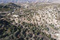 8027 SQM Land · Choulou (Paphos) for sale 
