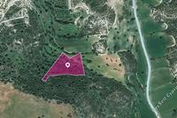 6689 SQM Land in Agios Theodoros Larnacas (Larnaca) for sale 