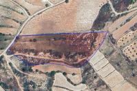 14047 SQM Land in Pachna (Limassol) for sale 