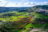16545 SQM Land in Dora (Limassol) for sale 