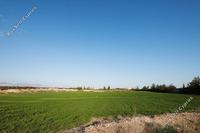 75960 SQM Land · Archangelos (Nicosia) for sale 