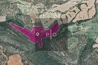 20068 SQM Land · Agios Theodoros Larnacas (Larnaca) for sale 