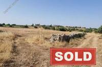 6940 SQM Land in Pachna (Limassol) for sale 