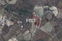 2342 SQM Land in Stroumbi (Paphos) for sale 