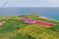 36456 SQM Land in Mazotos (Larnaca) for sale 