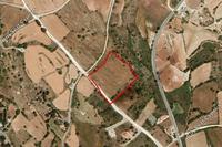 13402 SQM Land in Kato Arodes (Paphos) for sale 