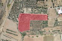 5426 SQM Land in Potami (Nicosia) for sale 