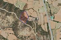 8250 SQM Land in Pissouri (Limassol) for sale 