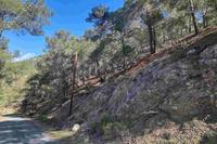 21682 SQM Land in Moniatis (Limassol) for sale 