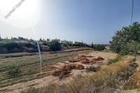 2676 SQM Land · Peyia (Paphos) for sale 