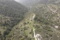19064 SQM Land · Amargeti (Paphos) for sale 