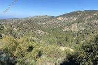 22743 SQM Land in Lysos (Paphos) for sale 