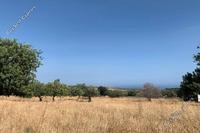 7825 SQM Land · Pachna (Limassol) for sale 