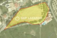 4798 SQM Land in Anogyra (Limassol) for sale 