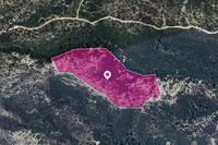 45820 SQM Land in Platanisteia (Limassol) for sale 