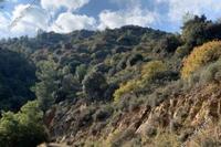 5017 SQM Land in Palaichori Oreinis (Nicosia) for sale 