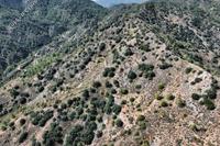 5017 SQM Land · Palaichori Oreinis (Nicosia) for sale 