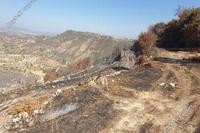 9867 SQM Land · Pachna (Limassol) for sale 