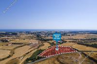 10640 SQM Land in Timi (Paphos) for sale 