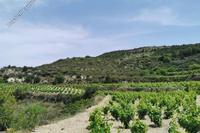 6857 SQM Land · Pachna (Limassol) for sale 