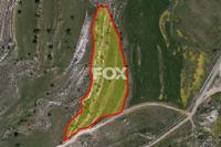 8696 SQM Land in Agia Varvara (Paphos) for sale 