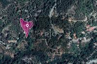 2844 SQM Land · Palaiomylos (Limassol) for sale 