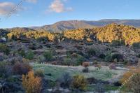 11037 SQM Land in Pera Pedi (Limassol) for sale 