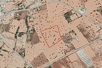 6466 SQM Land in Mazotos (Larnaca) for sale 