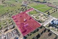 5807 SQM Land · Tseri (Nicosia) for sale 