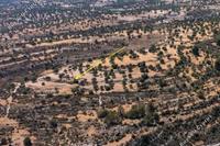 23412 SQM Land · Pachna (Limassol) for sale 