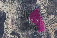 30770 SQM Land in Apesia (Limassol) for sale 