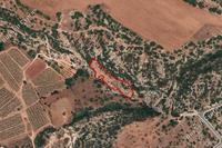 3345 SQM Land in Peyia (Paphos) for sale 