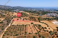 13713 SQM Land in Tremithousa (Paphos) for sale 