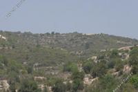 6689 SQM Land · Koilani (Limassol) for sale 