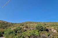 6689 SQM Land · Koilani (Limassol) for sale 