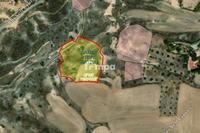4320 SQM Land in Latsia (Nicosia) for sale 