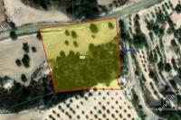 7025 SQM Land · Anafotida (Larnaca) for sale 