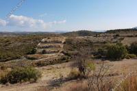 11037 SQM Land · Agios Therapon (Limassol) for sale 