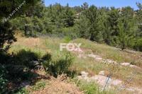 4683 SQM Land in Souni Zanakia (Limassol) for sale 