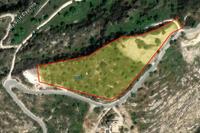12774 SQM Plot in Koili (Paphos) for sale 