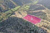 14537 SQM Land · Pigenia (Nicosia) for sale 