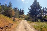 22743 SQM Land in Xyliatos (Nicosia) for sale 