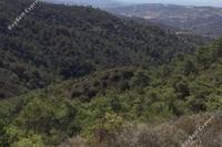 25419 SQM Land in Vavatsinia (Larnaca) for sale 