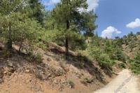 3122 SQM Land · Fterikoudi (Nicosia) for sale 