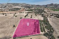 8027 SQM Land in Agios Theodoros Larnacas (Larnaca) for sale 