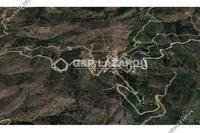 19400 SQM Land in Fikardou (Nicosia) for sale 