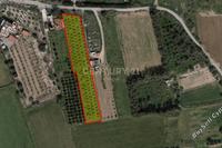 3240 SQM Plot in Kolossi (Limassol) for sale 
