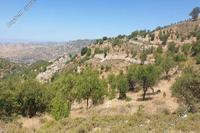 10118 SQM Land in Dora (Limassol) for sale 