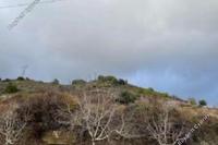 5686 SQM Land in Pelendri (Limassol) for sale 